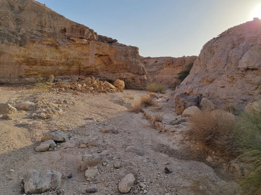 Israel-Erlebnisreise Juni 2026 – Bild 5