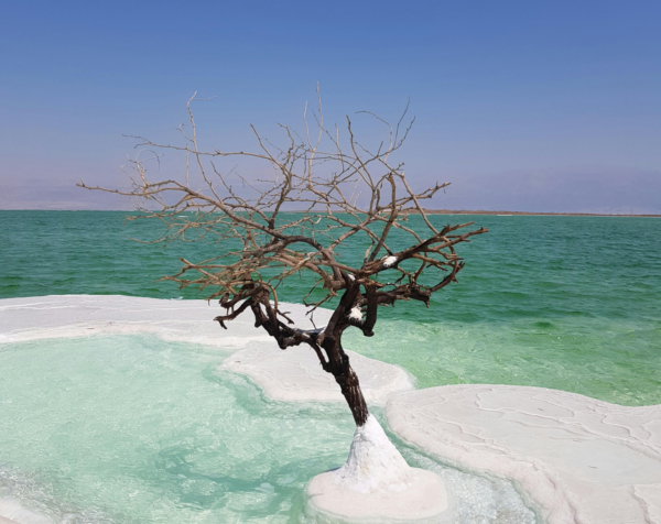 Israel-Erlebnisreise Juni 2026